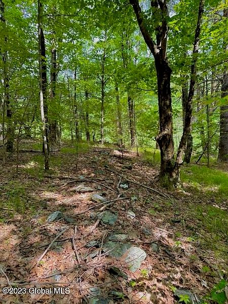 5th image of L69 Old Ghost Road Lot 8