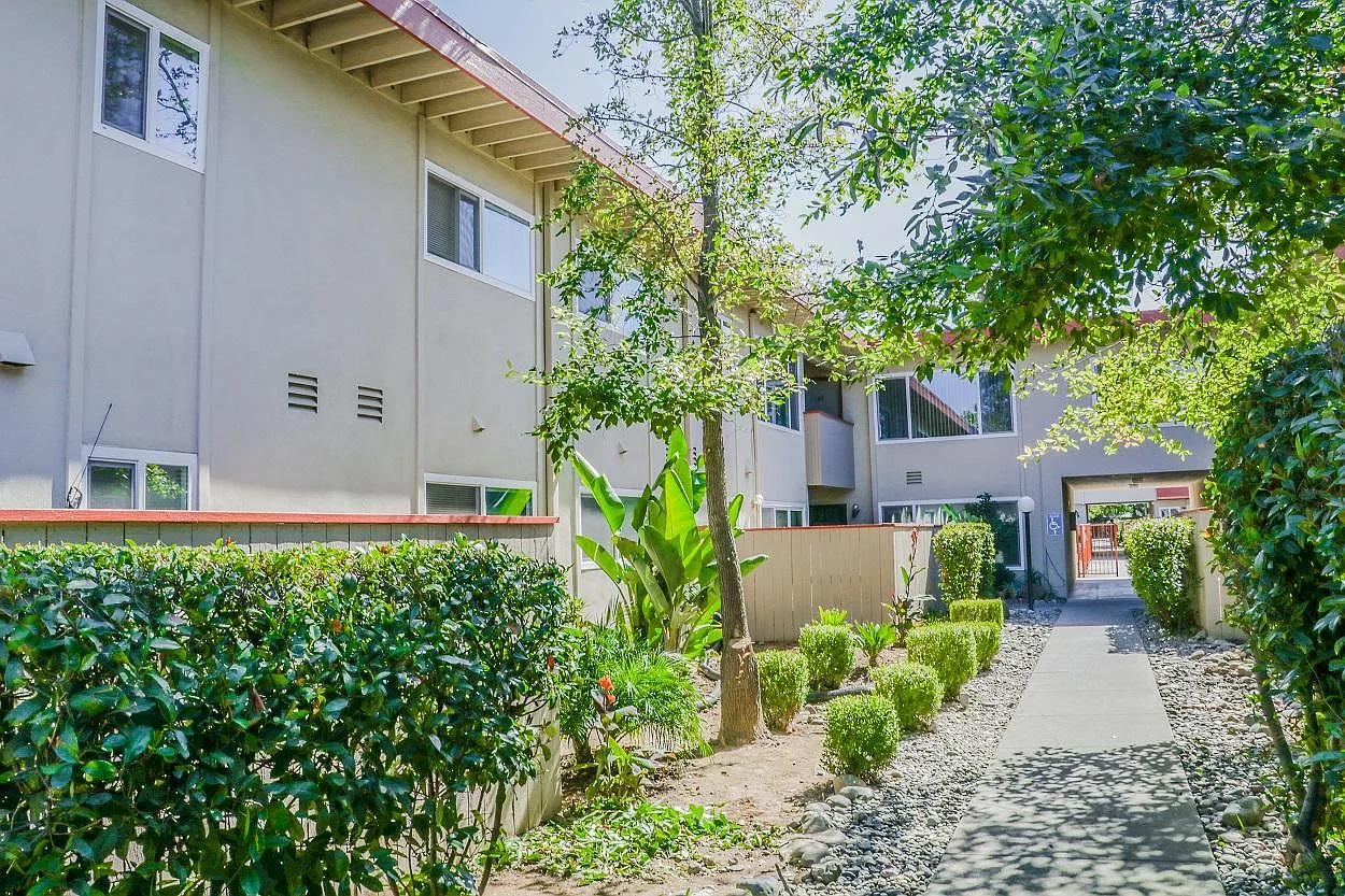 The Palms Apartments — Photo 4