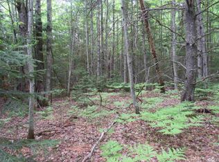 162 McMaster Rd, Skandia, MI 49885