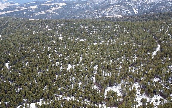 2nd image of Tbd Turk Rd