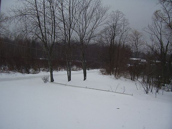 Winter:  back yard