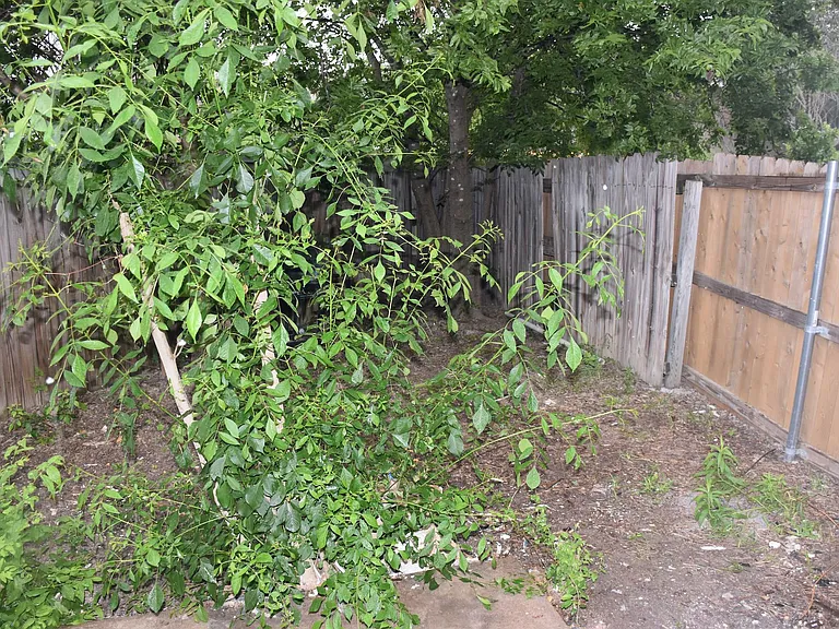 1814 Rawhide Loop — Photo 34