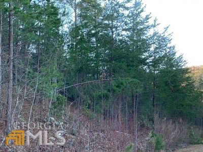 1524 Orchard Hills Dr, Clarkesville, GA, 30523
