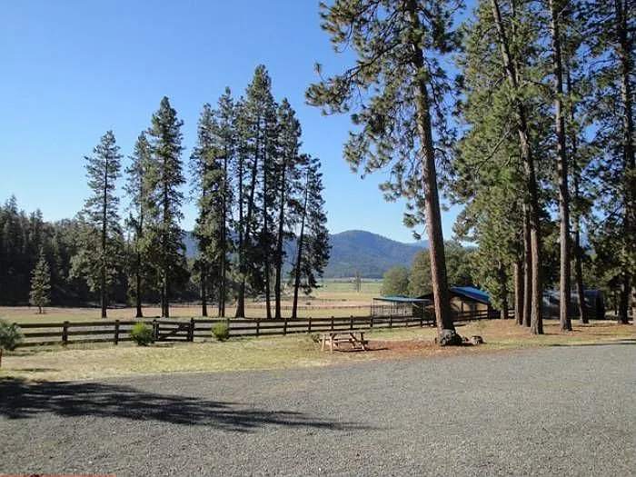 13305 Tyler Gulch Rd photo 1