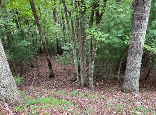 167 Tara Dr, Ellijay, GA