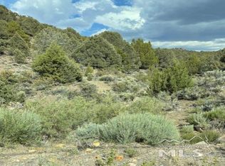 2041 Lousetown Rd, Reno, NV 89521