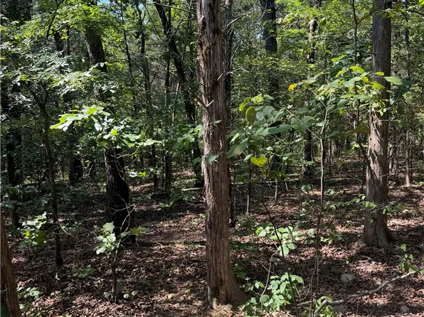 Larchwood Dr #18, Lead Hill, AR 72644