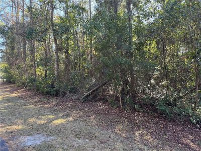 42 Eagle Neck Dr NE, Townsend, GA, 31331