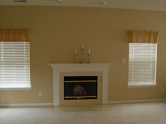 Wood Burning Fireplace