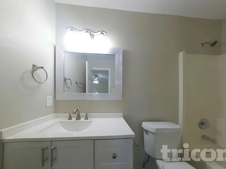 3916 Golden Horn Ln — Photo 8