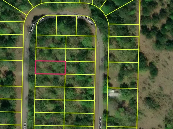 539 Eagle Bluff Loop Lot 539, Avinger, TX 75630
