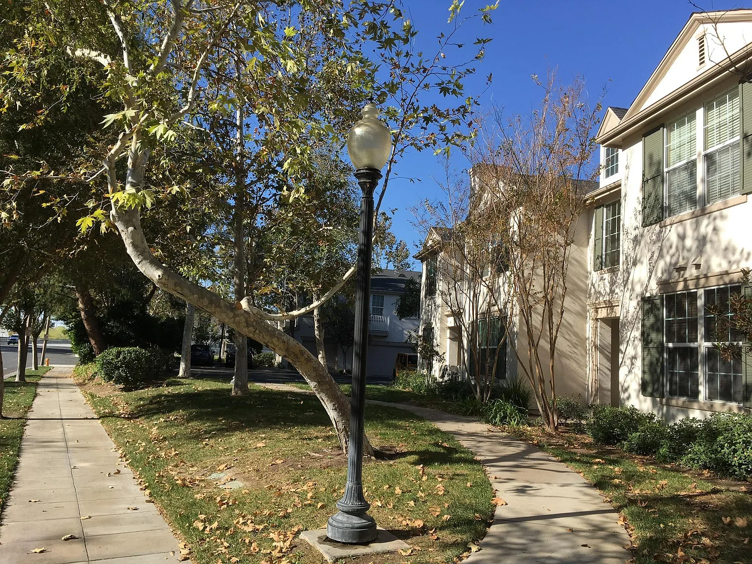 24132 Victoria Ln — Photo 2