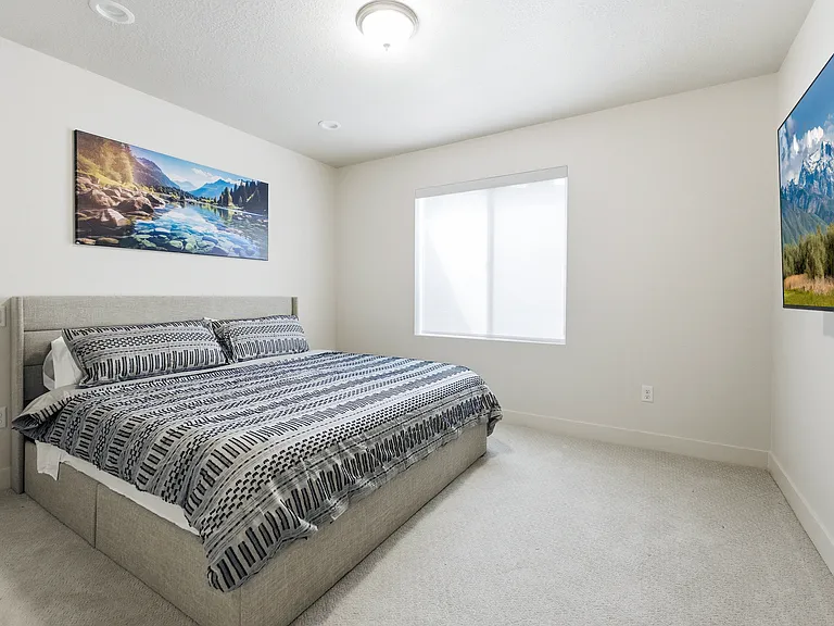 Lower Level- Primary Bedroom