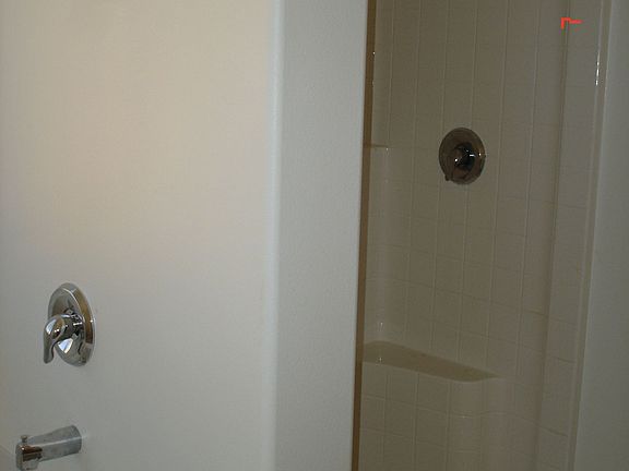 Master bath shower