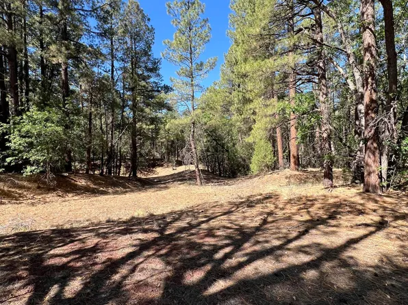 1279 Twin Oaks, Lakeside, AZ 85929
