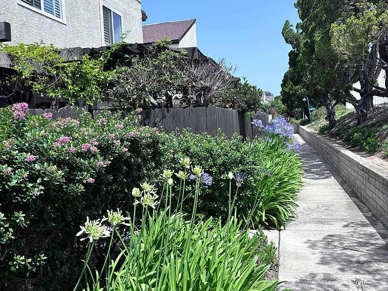 9555 Easter Way #7 — Photo 4