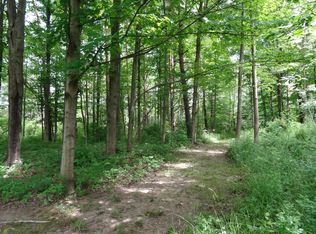 Mill Rd LOT C2, East Aurora, NY 14052