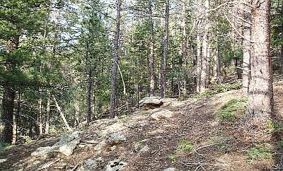 5th image of Elk Vly Lot 4