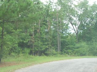 131 Phillips Rd, Morton, MS 39117