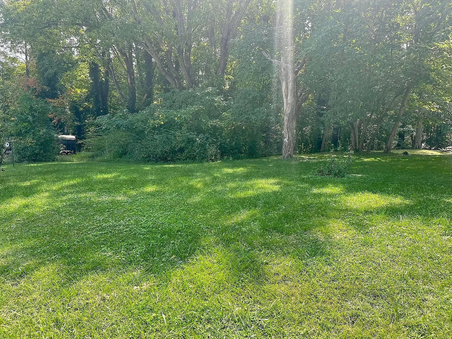 2 bed, 564 sqft, $1,195 — Photo 3