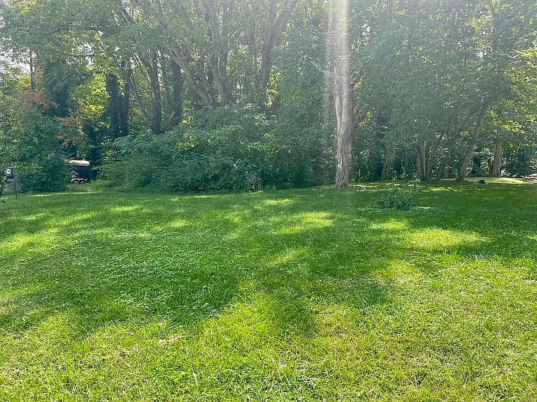 1117 Rives Rd — Photo 3