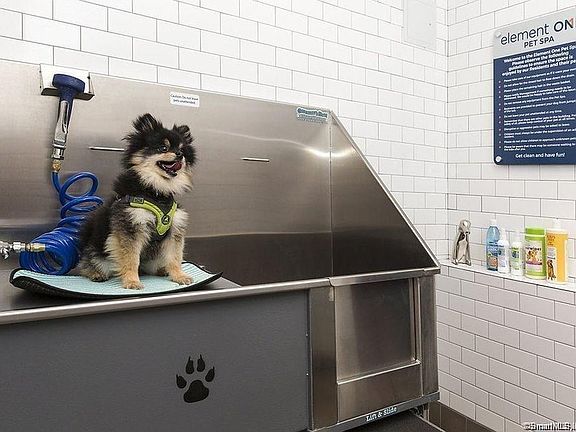 how much is petco self service dog wash