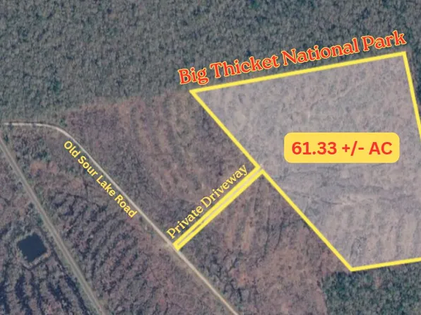 /old Sour Lake Rd, Sour Lake, TX 77659