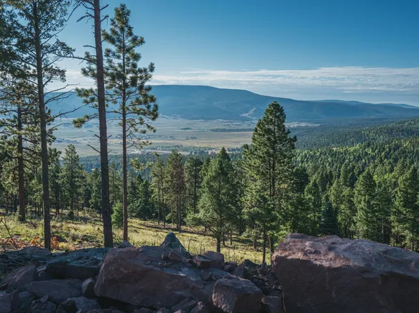 230 Palo Flechado Ridge Road, Angel Fire, NM 87710