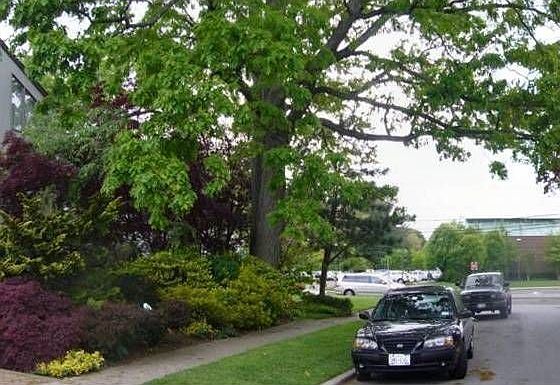 1st image of 531 Edward Ave