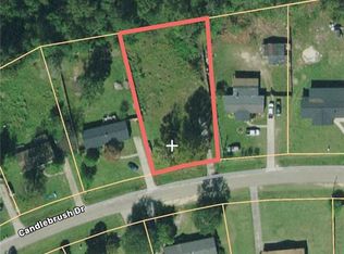 8533 Candlebrush Dr, Linden, NC 28356
