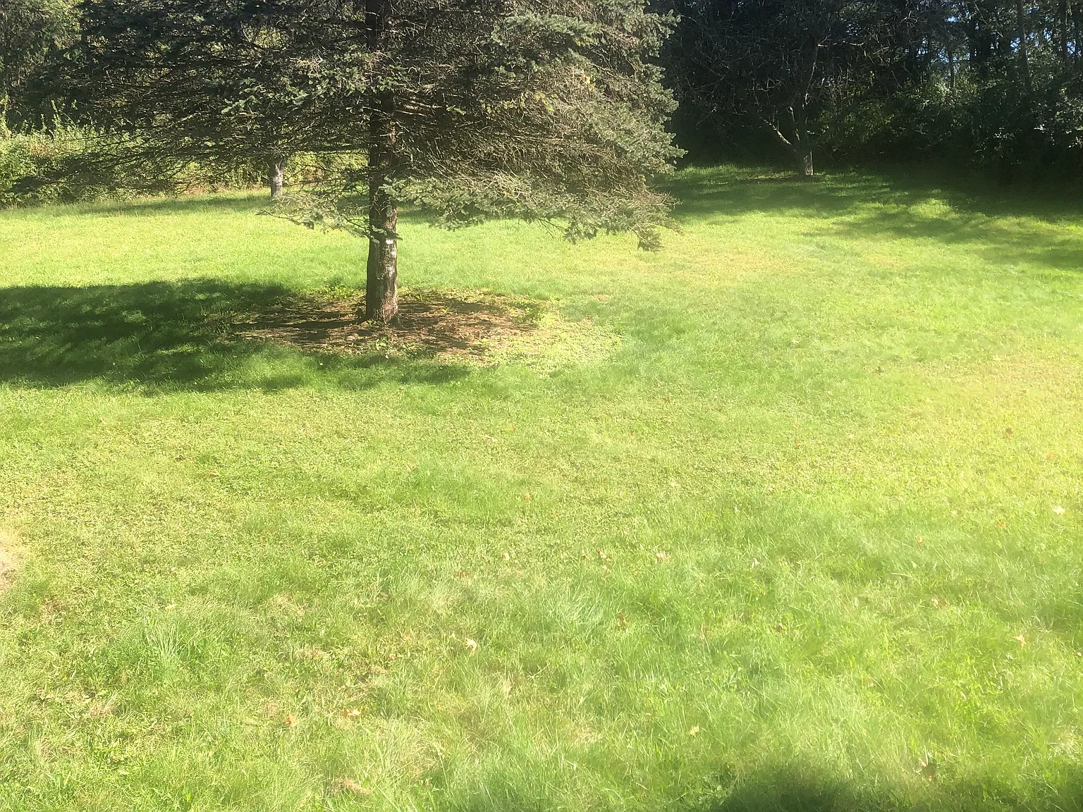 3 bed, 1182 sqft, $1,750 — Photo 3