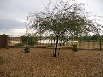 4th image of 1293 E Daisy Way