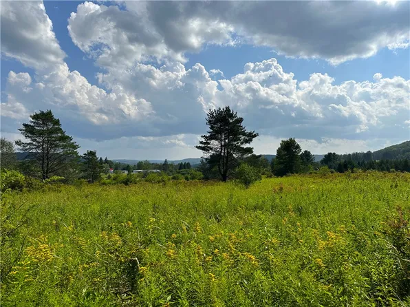 0 County Road 17 Lot 24, Friendship, NY 14739