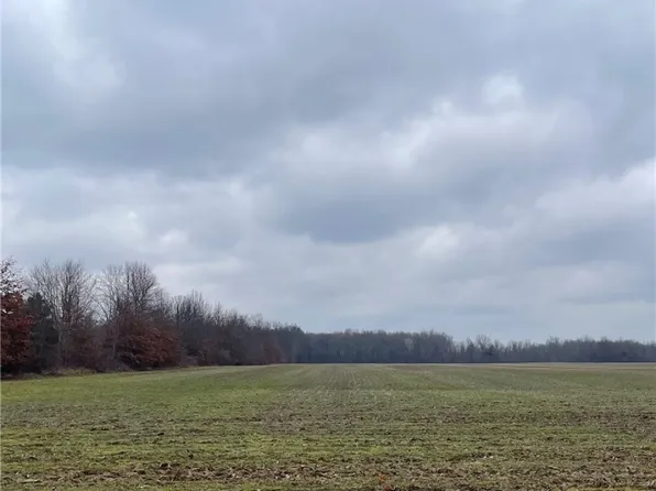 Capel Rd, Columbia Station, OH 44028