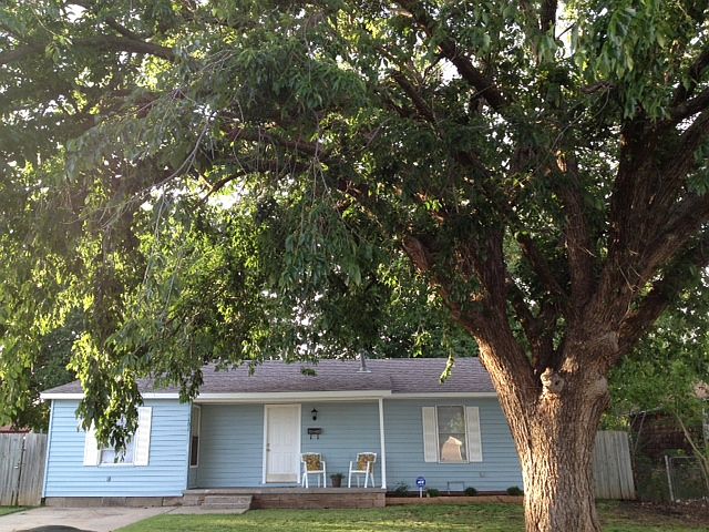 Front Yard