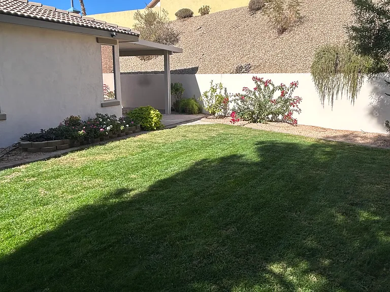 Grassy area perfect for pets in main backyard