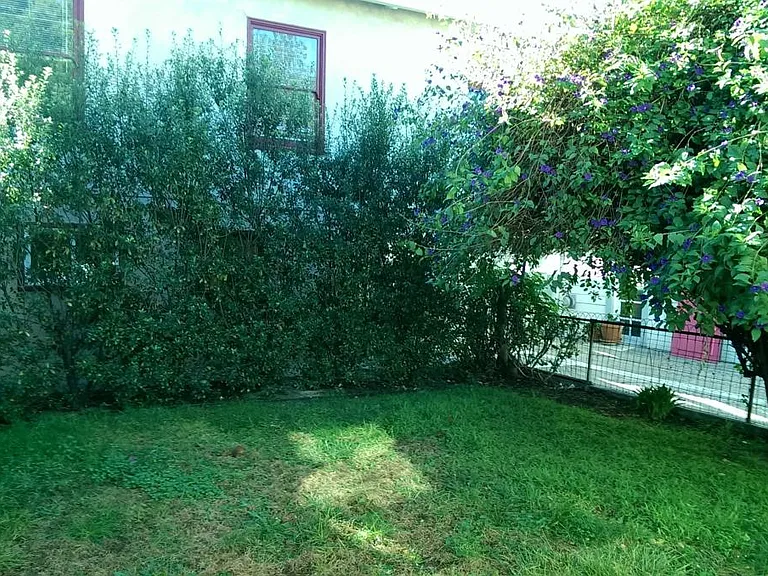 garden area - grow your own veggies