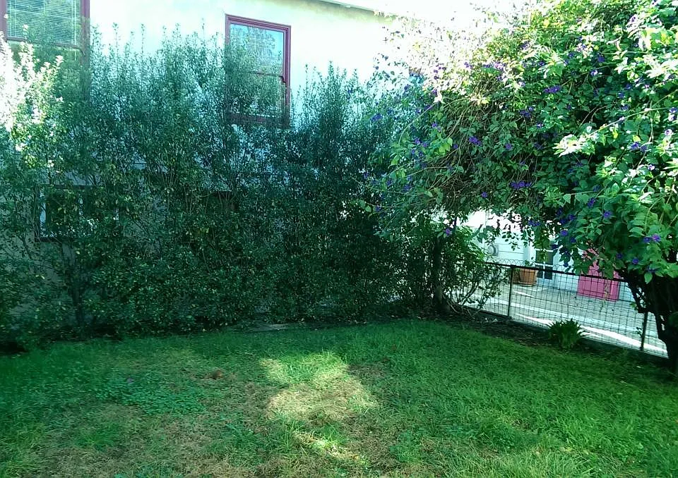 garden area - grow your own veggies