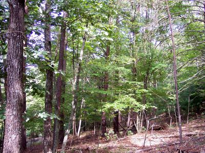 Tbd Birch Ave, Buena Vista, VA, 24416
