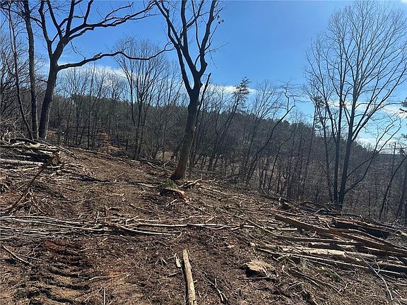 4th image of 600 Chapman Ridge Ln