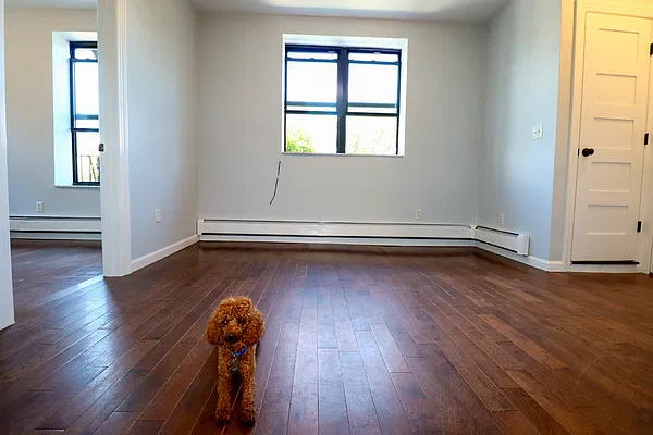 Living room, photo 2