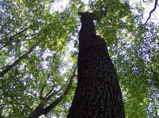 6 Low Gap Rd, Hayesville, NC 28904