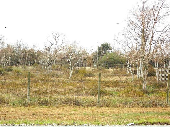 4th image of 27235 Fm 2004 Rd