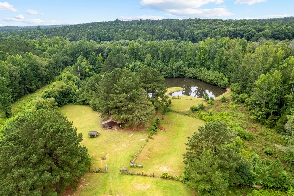 next background image