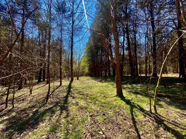 /jones Chapel Dr, Williston, TN 38076