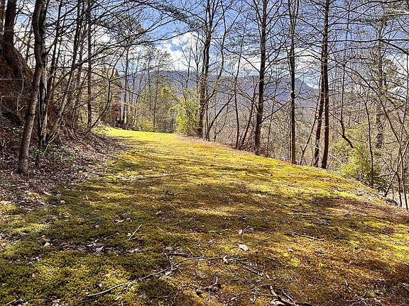 2nd image of 2 Deer Path Ln