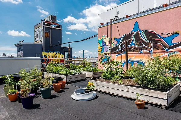 Rented by Garden Management | media 33