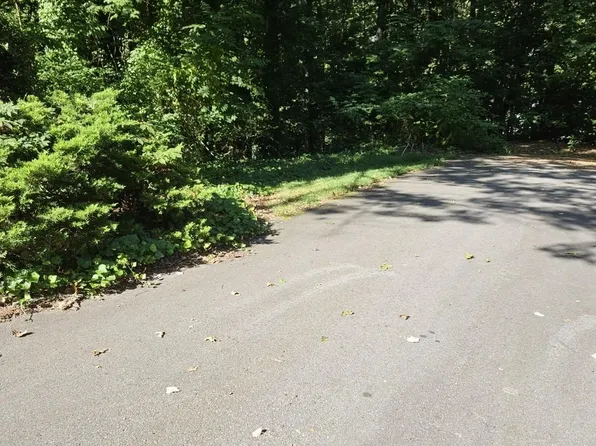 135 Caldonia Dr, Candler, NC 28715