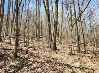 0 Pinneo Hill Rd, Shinglehouse, PA 16748