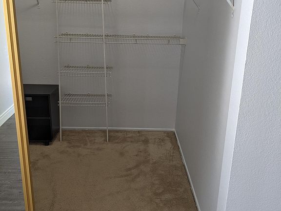 Downstairs walk in closet